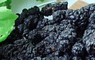 桑葚干怎么吃(桑葚干怎么吃补血效果好)