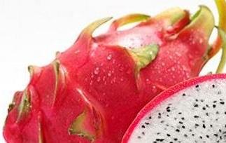 白肉火龙果的功效与作用(白肉火龙果的功效与作用禁忌)