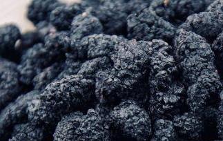 黑桑葚干泡水喝的功效 黑桑葚干泡水喝的功效与作用