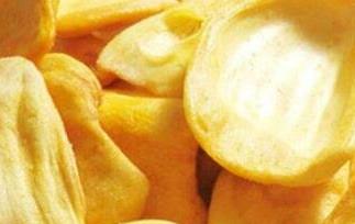 没熟的菠萝蜜能吃吗 菠萝菠萝蜜没熟能吃吗