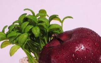 蛇果的功效与作用 蛇果的功效与作用及食用方法