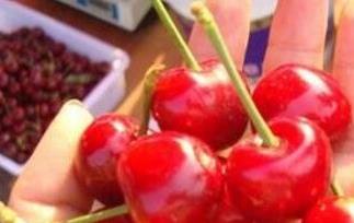 樱桃怎么保存（樱桃怎么保存时间长）