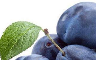 西梅的功效与作用及食用方法 西梅的功效与作用及禁忌是什么