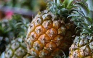 吃菠萝的好处有哪些(吃菠萝的好处有哪些男生)