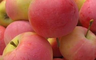 海棠果的功效与作用及食用方法 海棠果的食用方法和作用