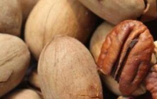 碧根果的功效与作用（碧根果的功效与作用每天吃多少）