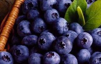 野生蓝莓的功效与作用