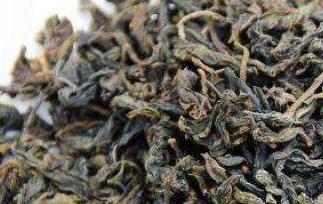 柿子叶的功效与作用(柿子叶的功效与作用的吃法)