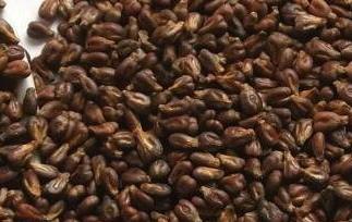 葡萄籽花青素的功效与作用（葡萄籽花青素的功效与作用及禁忌）