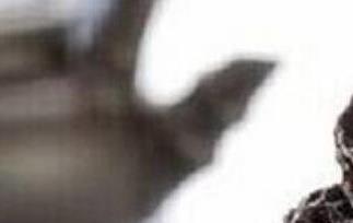 乌梅干如何做 乌梅怎么制作成乌梅干