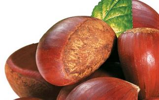 板栗如何吃好(板栗如何吃好吃)