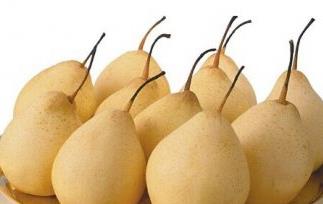 梨不能跟什么一起吃（梨不能和什么一起吃）