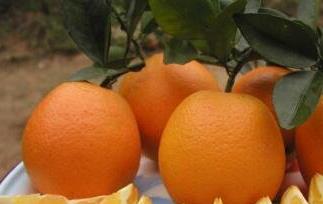 吃橙子有什么好处（每天吃橙子有什么好处）