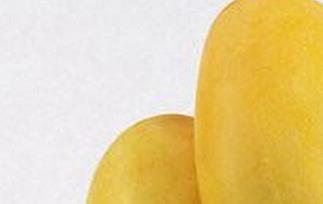 腰芒的功效与作用 腰芒百度百科