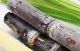 孕妇可以吃甘蔗吗 孕妇可以吃甘蔗吗?