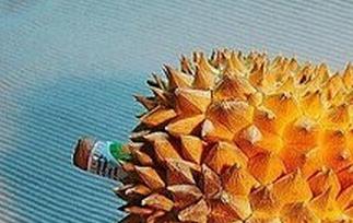 榴莲壳的功效与作用