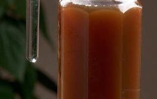 乌梅怎么泡水喝 乌梅怎么泡水喝对肝好