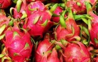 白血病能吃火龙果吗（白血病能吃火龙果吗百度百科）