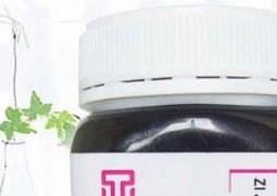 紫荆花蜂蜜的作用与功效 紫荆花蜂蜜的作用与功效禁忌