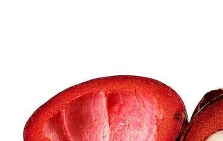 山竹果皮的作用 山竹果皮有啥功效