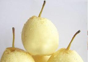 水晶梨是雪梨吗（水晶梨是雪梨吗?）