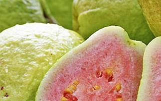 红心番石榴的图片和功效