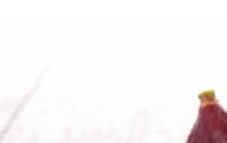 无花果吃法 新鲜无花果的吃法和功效