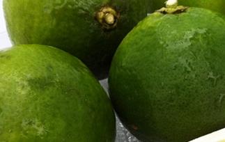 酸橙的功效与作用 酸橙的功效与作用禁忌