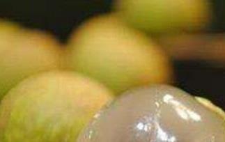 龙眼酒的功效与作用 龙眼酒的功效与作用