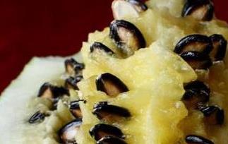 籽瓜的食用禁忌与注意事项(籽瓜的食用禁忌与注意事项是什么)