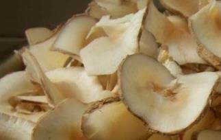 海底椰的功效与作用 海底椰的功效与作用及食用方法