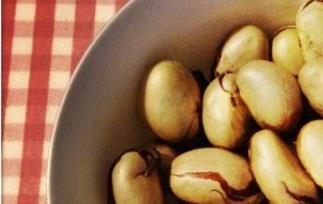 菠萝蜜核如何吃（菠萝菠萝蜜核怎么吃）