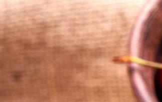 樱桃的功效与作用 樱桃的功效与作用禁忌