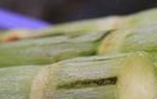 甘蔗的食疗功效 吃甘蔗的好处
