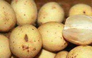 龙宫果的药用价值与功效（龙宫果的药用价值与功效是什么）