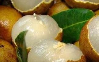 龙眼能多吃吗（龙眼能多吃吗百度百科）