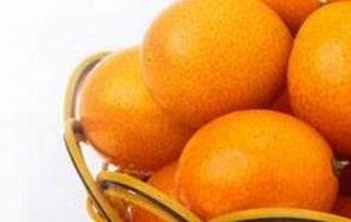 吃金桔的好处与功效作用 吃金桔的好处与功效作用禁忌