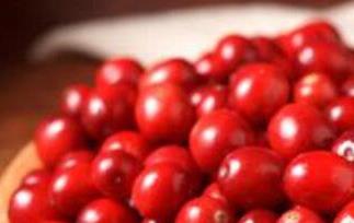 蔓越莓的功效与作用（蔓越莓的功效与作用及营养价值）