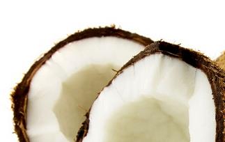 椰子的营养价值 椰子的营养价值有哪些
