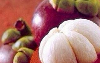 山竹果的抗癌作用 山竹果的抗癌作用和功效