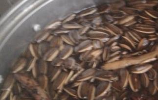 五香瓜子的制作过程和材料（五香瓜子是怎样做成的）