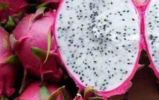 孕妇可以吃火龙果吗（火龙果孕妇可以吃火龙果吗）