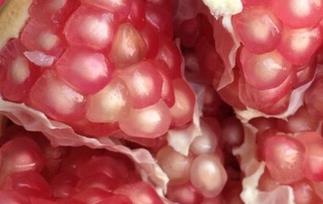 剥石榴的方法有哪些（剥石榴的方法有哪些图片）