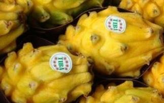 燕窝果的营养价值与营养成份（燕窝果的营养成分）