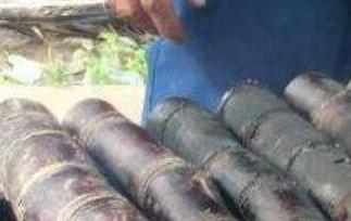 烤甘蔗用什么烤（烤甘蔗用什么烤箱好）