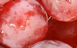 红提是寒性吗（红提是寒性吗?）