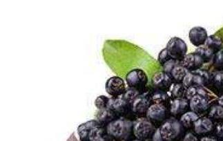 野樱莓泡水喝的功效与作用 野樱莓的功效和作用