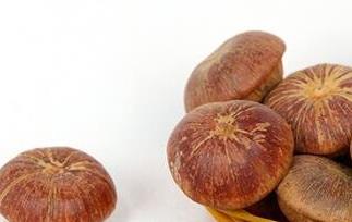 风流果的功效与作用及药用价值（风流果的作用与功效与作用是什么）