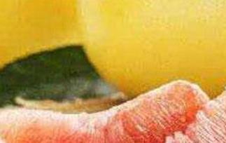 柚子有哪些功效与作用