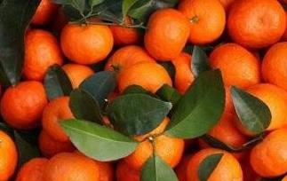 吃沙糖桔上火吗 吃沙糖桔上火吗怎么办